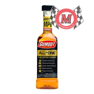 ITW GLOBAL BRANDS 검아웃 올인원 가솔린 전용 연료첨가제 296ml 1개